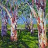 Gum Trees South Parklands Chosen Bb