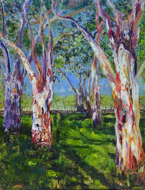 Gum Trees South Parklands Chosen Bb