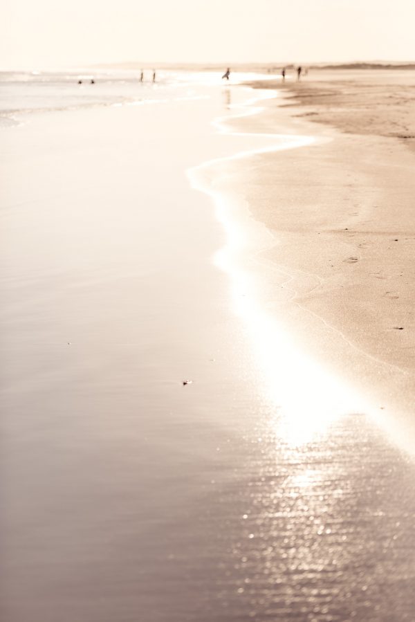 Afternoon Light On The Shore