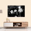 Flannel Flower Shadows L6 Canvas