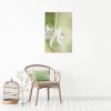 Flannel Flower Study Green Portrait 1 Canvas