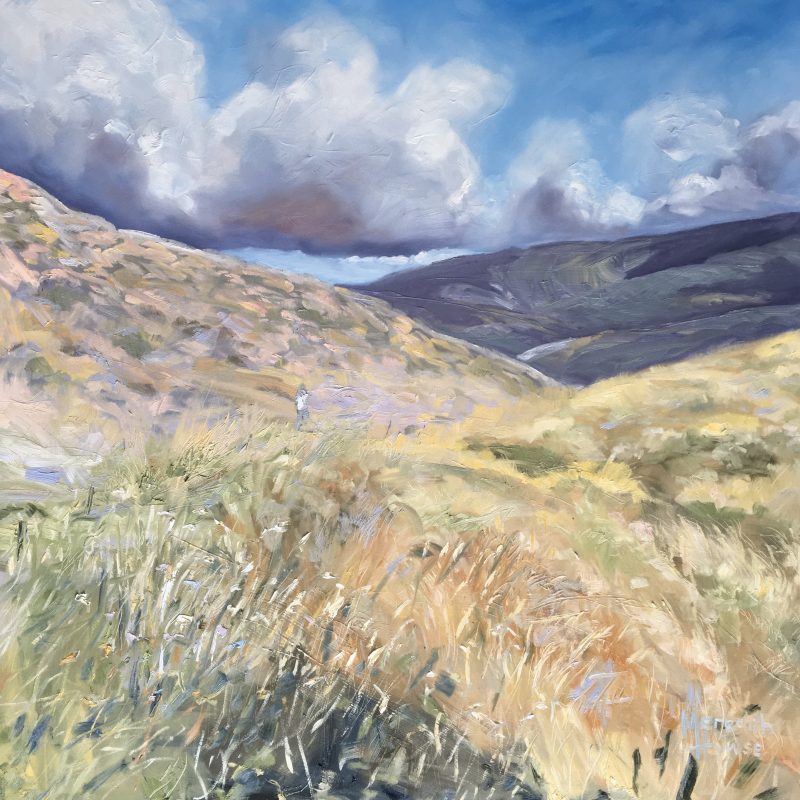 Walk with the Clouds