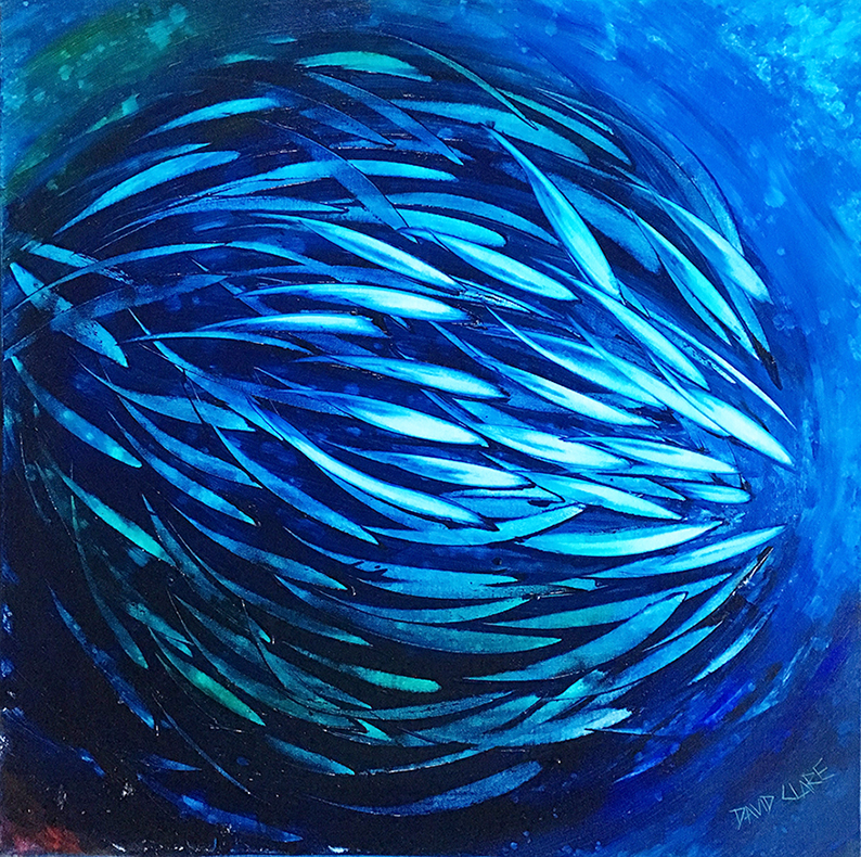 Just Keep Swimming 22