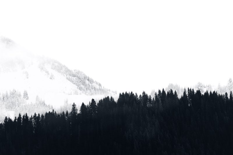 Misty Morning – Ltd Ed Print