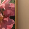 Pink Peony Frame