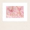 Pink Spring Blossoms Paper