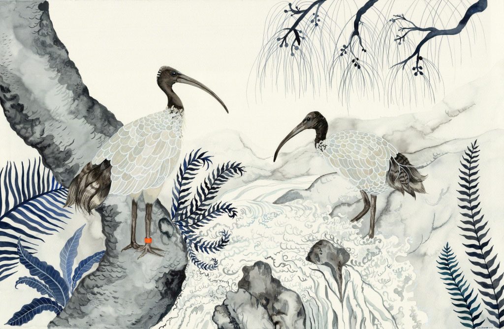 Sallybrowne Artist Ibis Prints Original Art For Sale