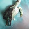 Sea Turtle Art Petra Meikle De Vlas4