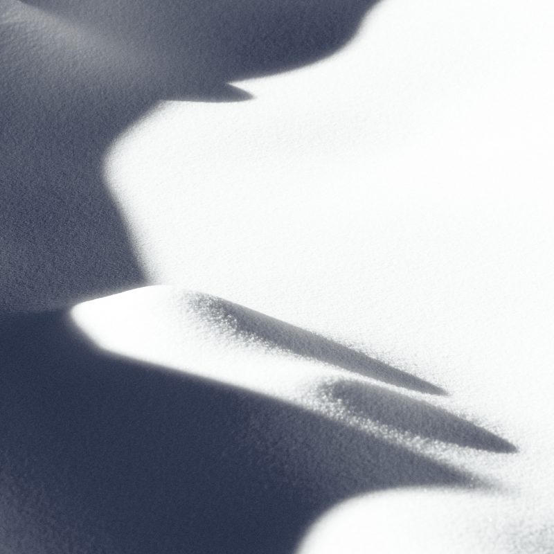 Shadows in the Snow 2 — Ltd Ed Print