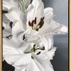 White Lilies Framed