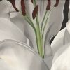 White Lilies Framed Detail