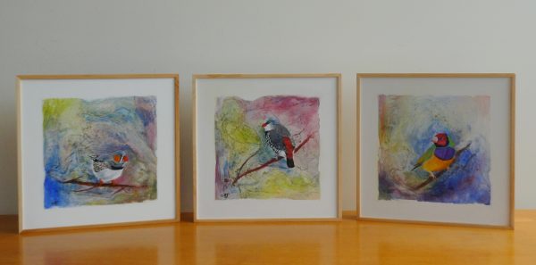 Australian Finch Triptych, $495 Clare Riddington Jones