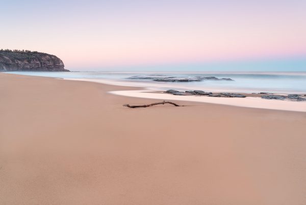 Beach Dusk With Driftwood