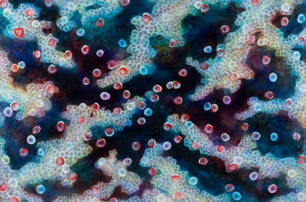 Beneath The Surface Xvi Bf 1mb