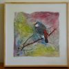 Clare Riddington Jones, Diamond Firetail, 30cm X 30cm