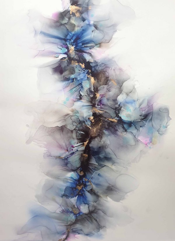 Fern Siebler Nova