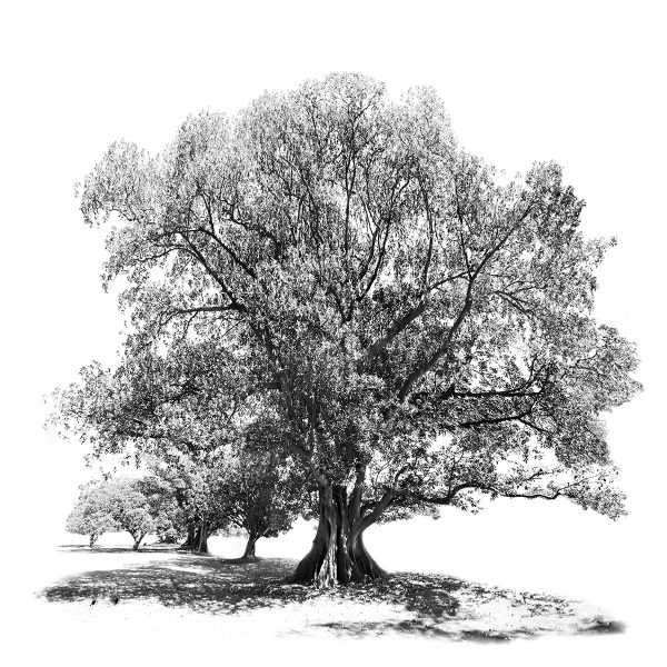 Gregsonpkfigbnw2newbranch