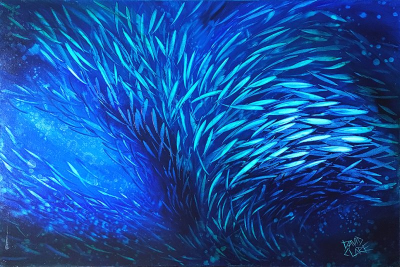 Just Keep Swimming 19