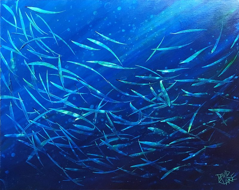 Just Keep Swimming 20