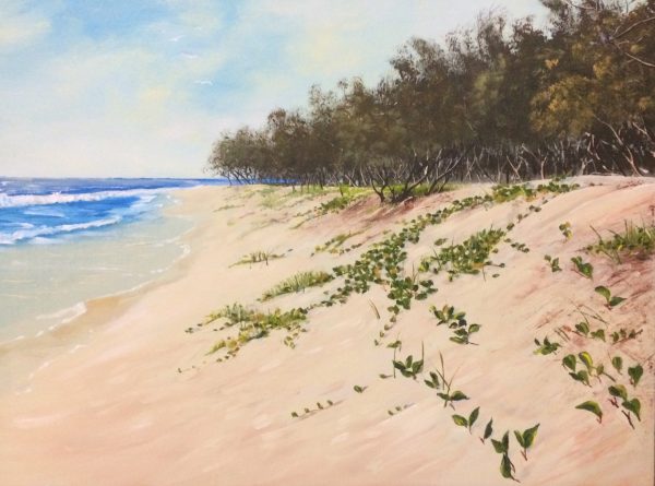 Rob Mortimer Beach, Bribie Island North