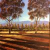 Rob Mortimer Flinders Ranges