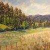 Rob Mortimer Kilcoy Landscape