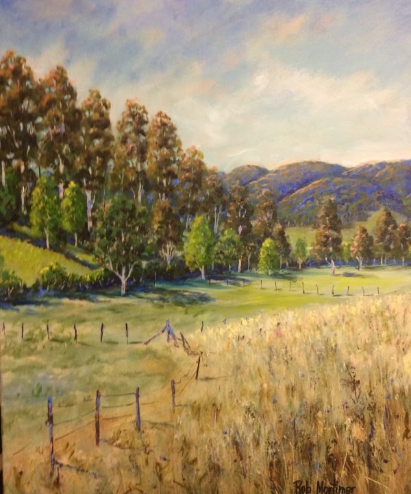 Rob Mortimer Kilcoy Landscape