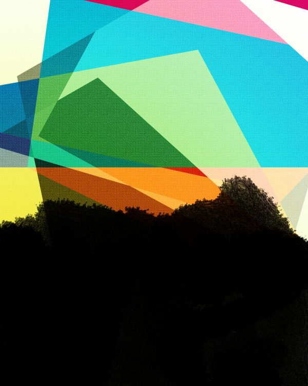 Geomoss Collage Charlotte Bromley