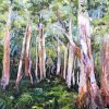 Norton Summit Gum Trees 4