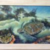 Turtle Framed