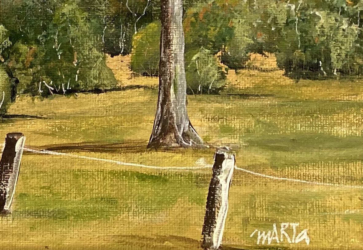 Mbj 397 Mt Lindsay Signature