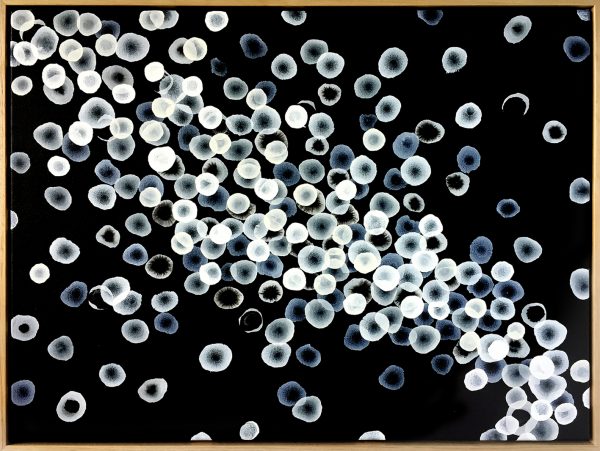 Aqueous Flow Swell Bf