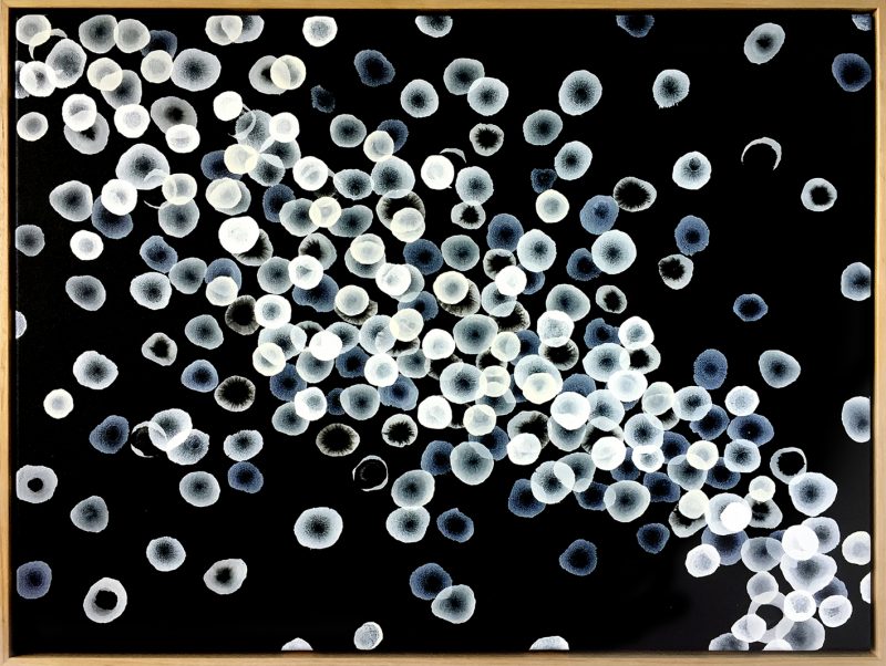 Aqueous Flow – Swell