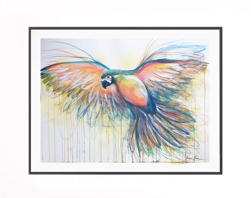 Flight of the Golden Macaw