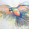 Artist Leni Kae Flight Of The Golden Macaw Painting On Paper