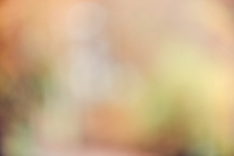 Autumn in the Woods — Ltd Ed Print