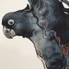 Call Of The Black Cockatoo Detail1 Sydney Artist Leni Kae 56x76cm