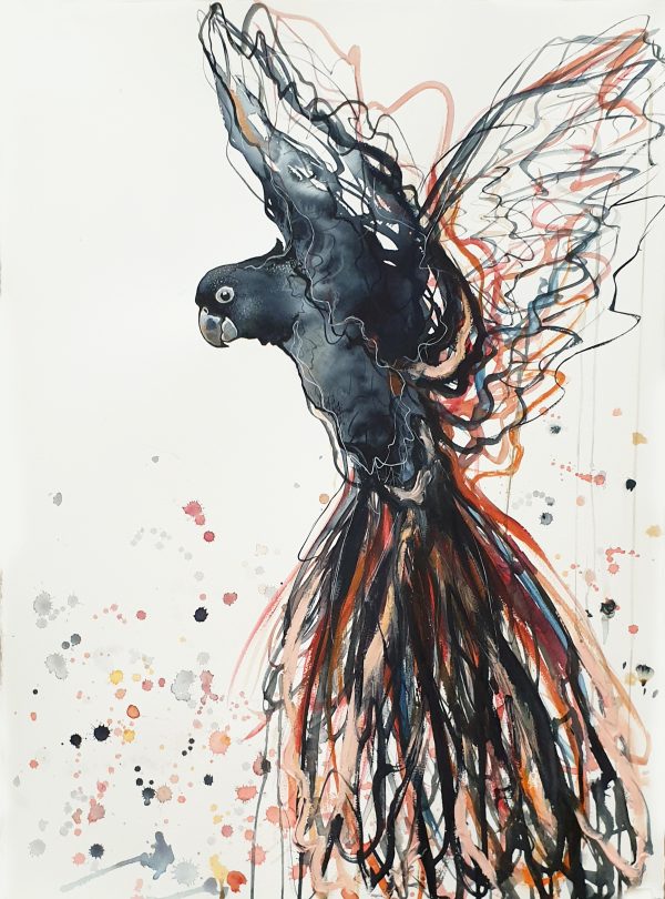 Call Of The Black Cockatoo Sydney Artist Leni Kae 56x76cm