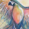 Detail Artist Leni Kae Flight Of The Golden Macaw Painting On Paper