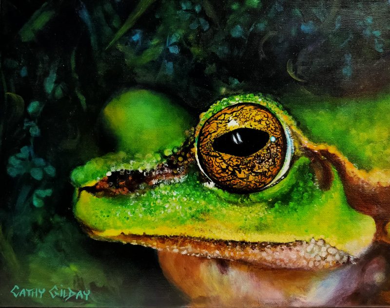 Pearson’s Stream Frog Commission