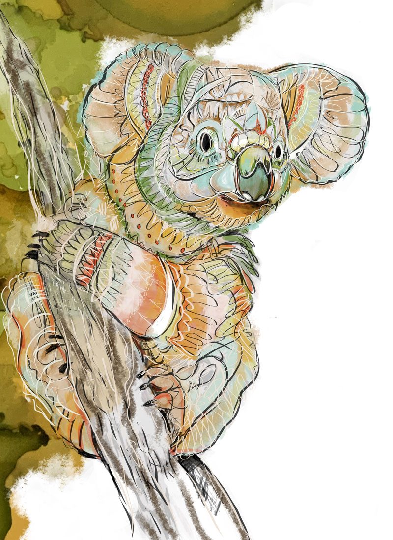 Koala Line Ltd Ed Print