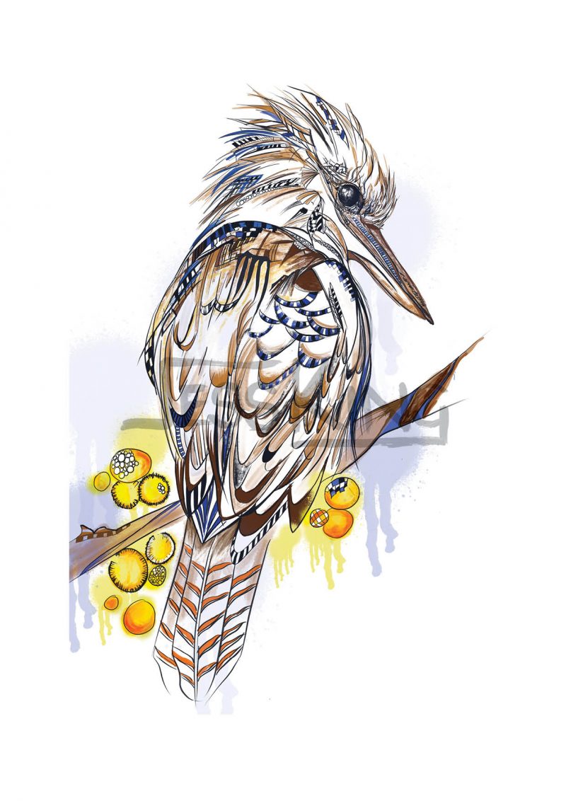 Kookaburra Colour Ltd Ed Print