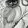 Owl In Pen