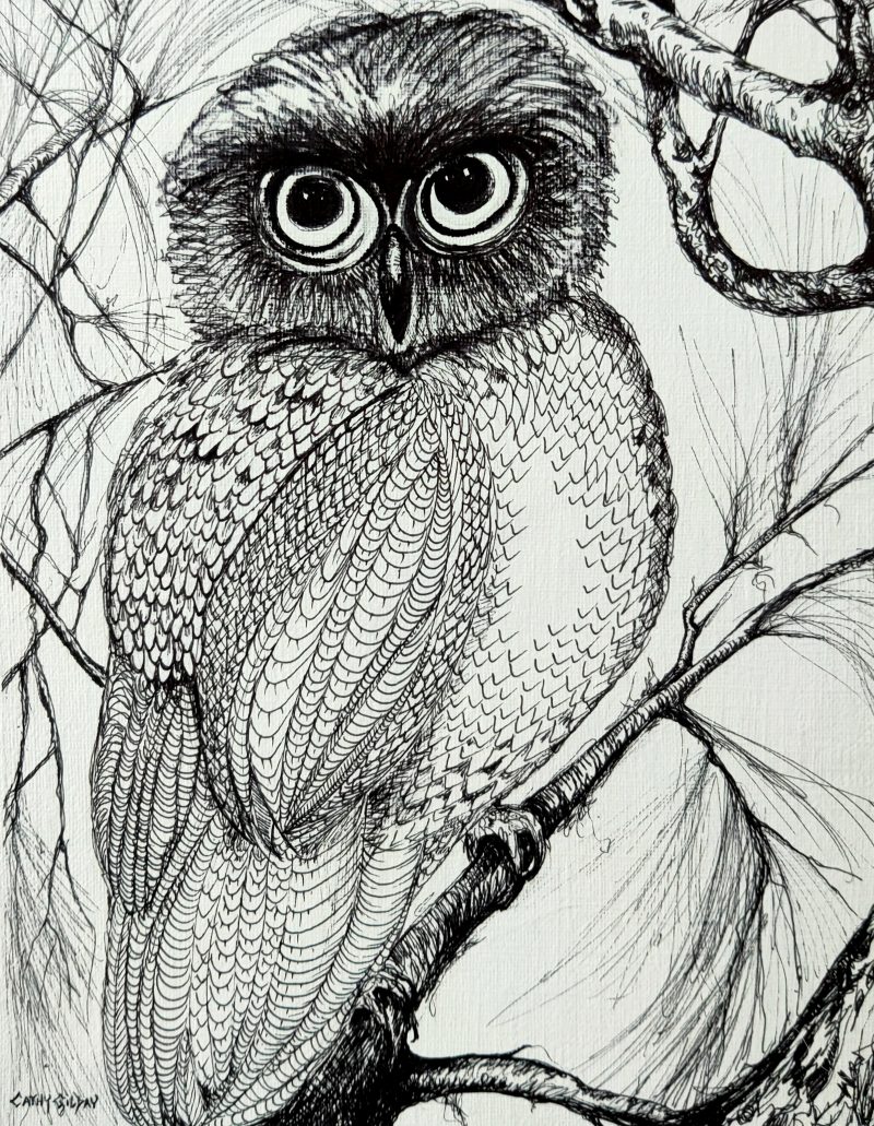 Owl in Pen