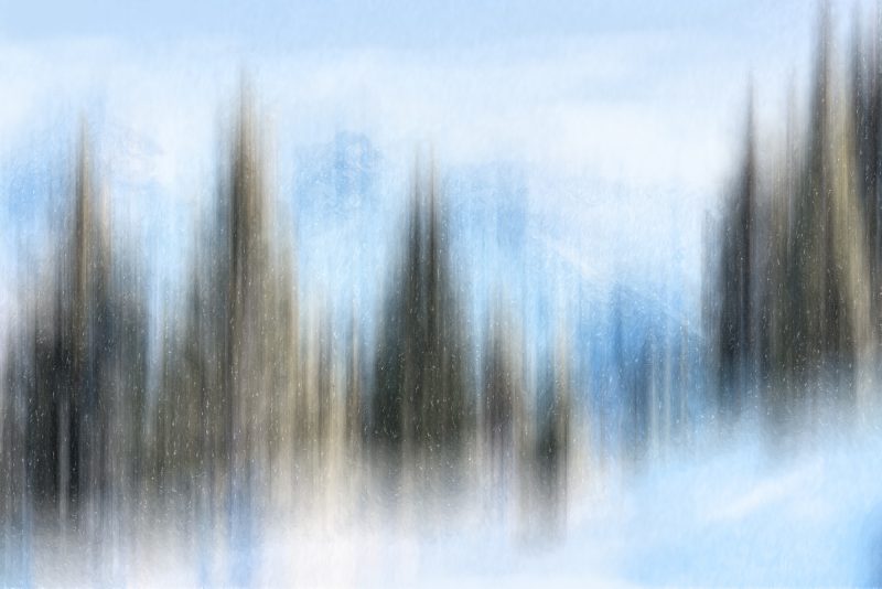 Peaceful Alpine Walk — Ltd Ed Print