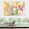 Tulip Garden Canvas