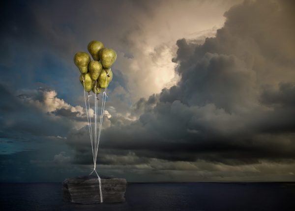 Anna Riitta Ovaska Pear Flight 2 Anna Riitta Ovaska Pear Flight 2