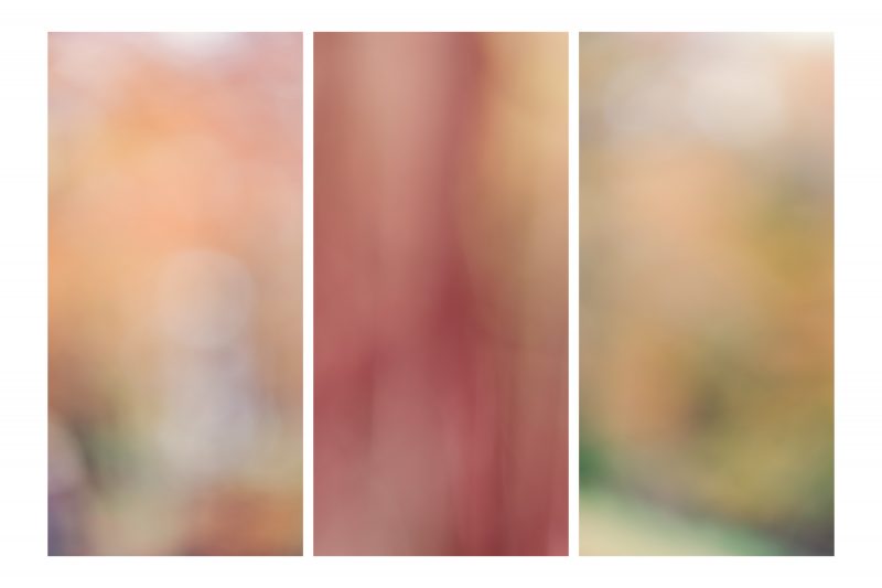 Autumn Triptych — Ltd Ed Print