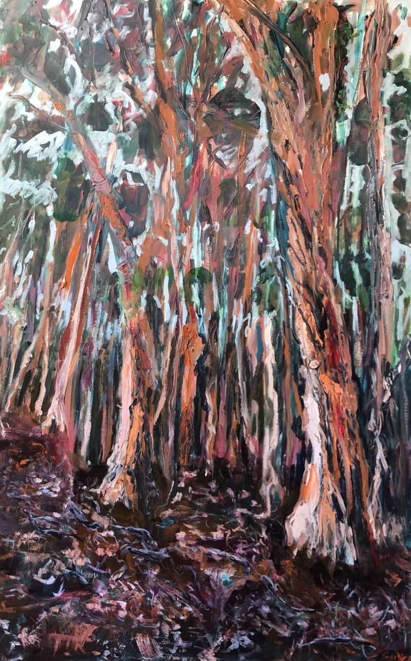 Eucalyptus Forest