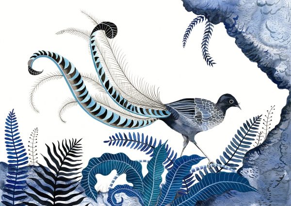 House Rules Sallybrowne Indigolyrebird